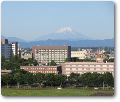 6月3日の富士山
